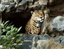 Imagen Eco Zoológico San Martín